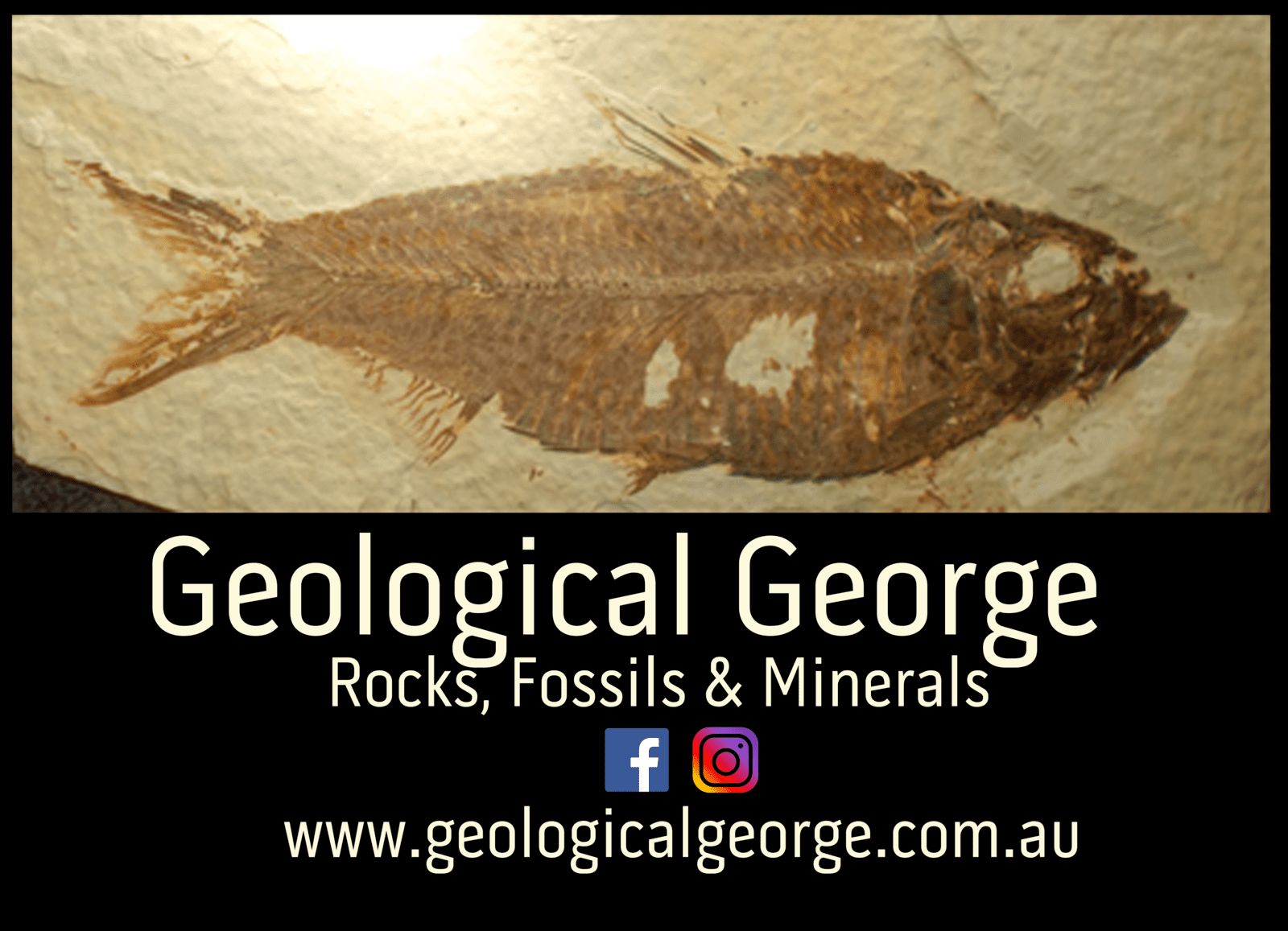 Geological George